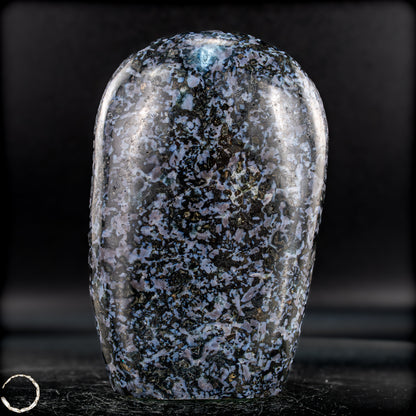Natürliche Merlinit (Gabbro) Kristall Freiform - 1007,46g