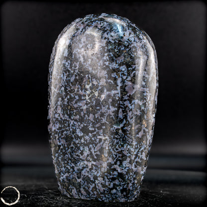 Natürliche Merlinit (Gabbro) Kristall Freiform - 1007,46g