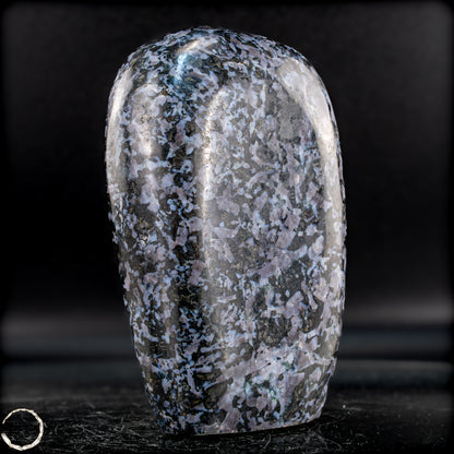 Natürliche Merlinit (Gabbro) Kristall Freiform - 1007,46g
