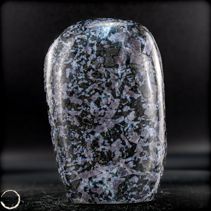 Natürliche Merlinit (Gabbro) Kristall Freiform - 1007,46g