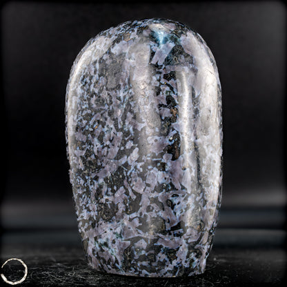 Natürliche Merlinit (Gabbro) Kristall Freiform - 1007,46g
