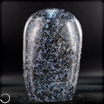 Natürliche Merlinit (Gabbro) Kristall Freiform - 1007,46g