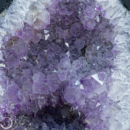 Natürliche Intensive Amethyst Druse - 9662,53g