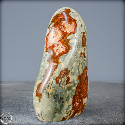 Natürliche Polychrome Jaspis Kristall-Freiform - 863,14g