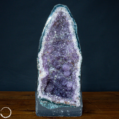 Natürliche Intensive Amethyst-Kristall Druse - 16659,98g