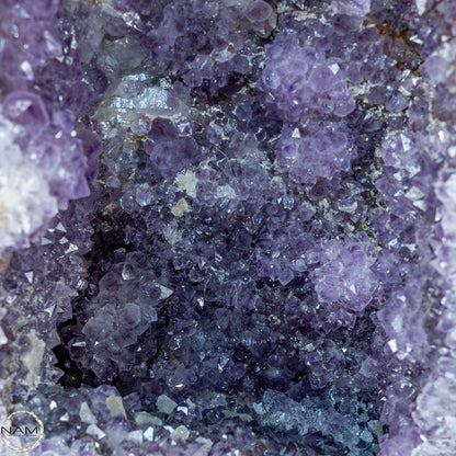 Natürliche Intensive Amethyst-Kristall Druse - 16659,98g