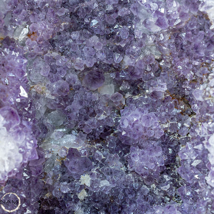 Natürliche Intensive Amethyst-Kristall Druse - 16659,98g