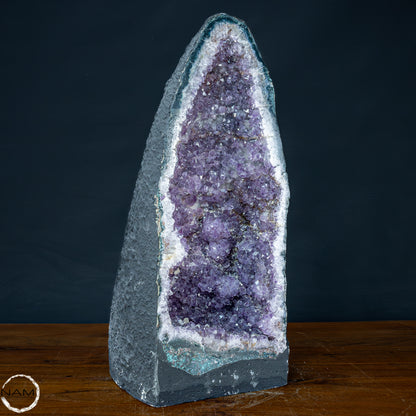 Natürliche Intensive Amethyst-Kristall Druse - 16659,98g