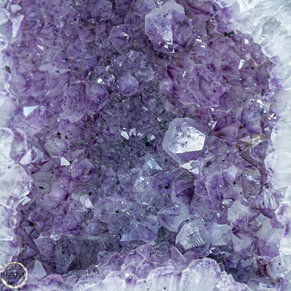 Natürliche Intensive Amethyst-Kristall Druse - 14243,45g