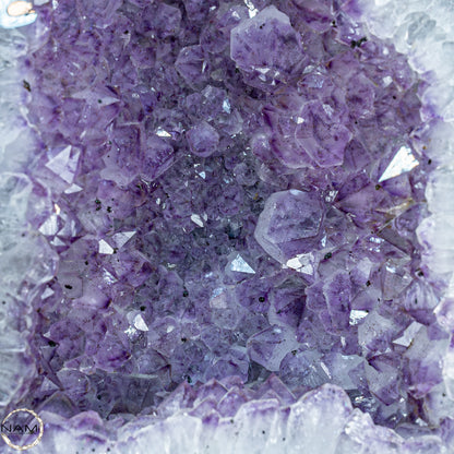 Natürliche Intensive Amethyst-Kristall Druse - 14243,45g