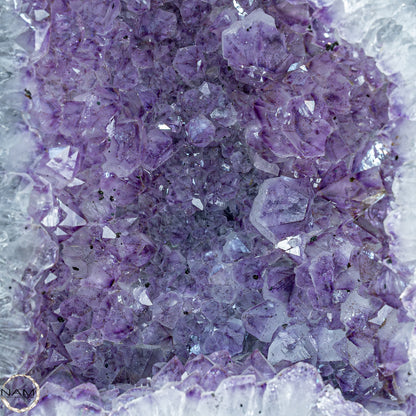 Natürliche Intensive Amethyst-Kristall Druse - 14243,45g