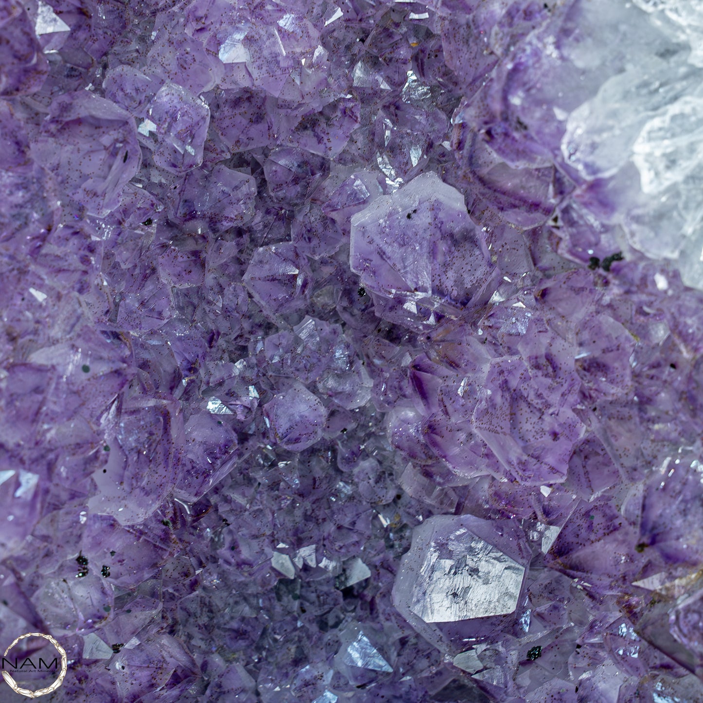 Natürliche Intensive Amethyst-Kristall Druse - 14243,45g