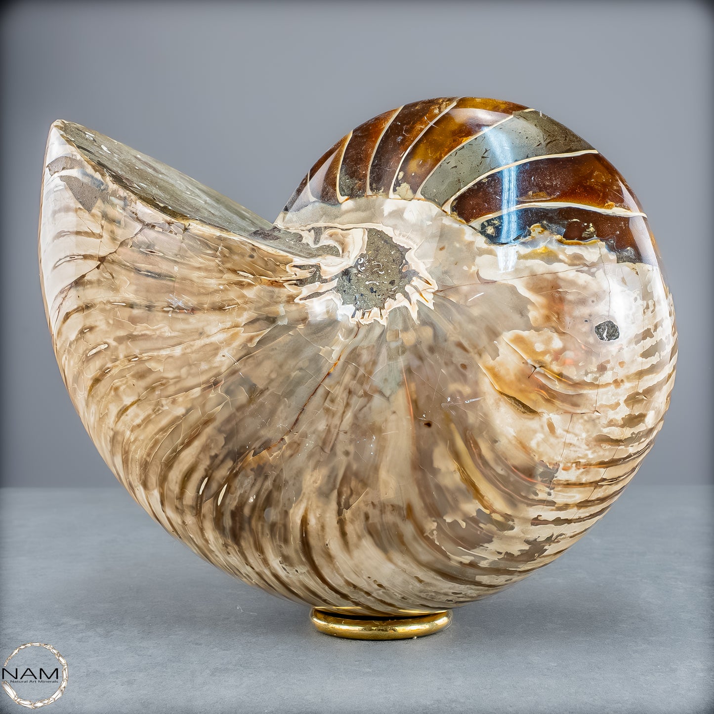 Natürlicher Bunter & Schillernder Nautilus Fossil - 4228,16g