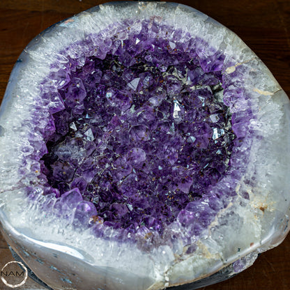 Natürliche Amethyst Drusen-Schale - 22683,22g