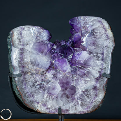 Natürliche Amethyst-Kristalle auf Ständer - 14952,07g