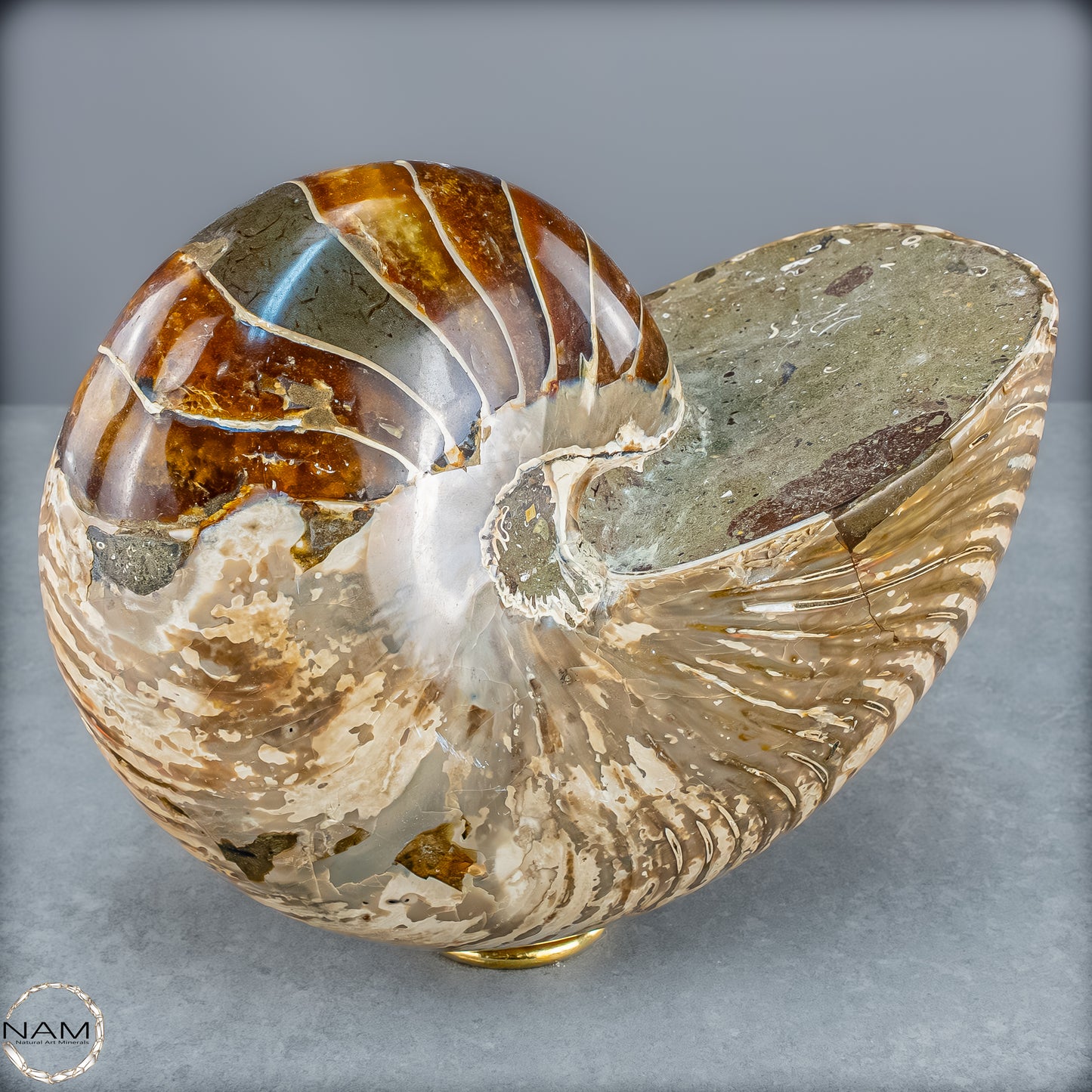 Natürlicher Bunter & Schillernder Nautilus Fossil - 4228,16g