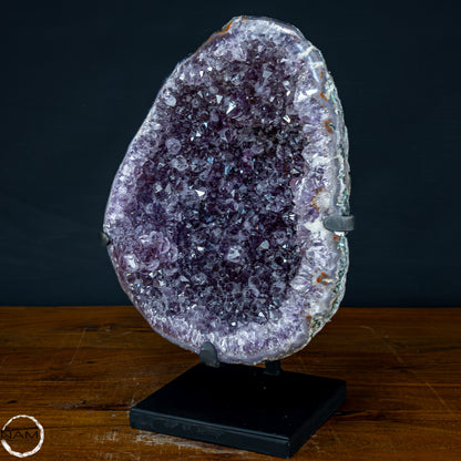 Natürliche Amethyst-Kristalle/Druse auf Ständer - 5903,47g