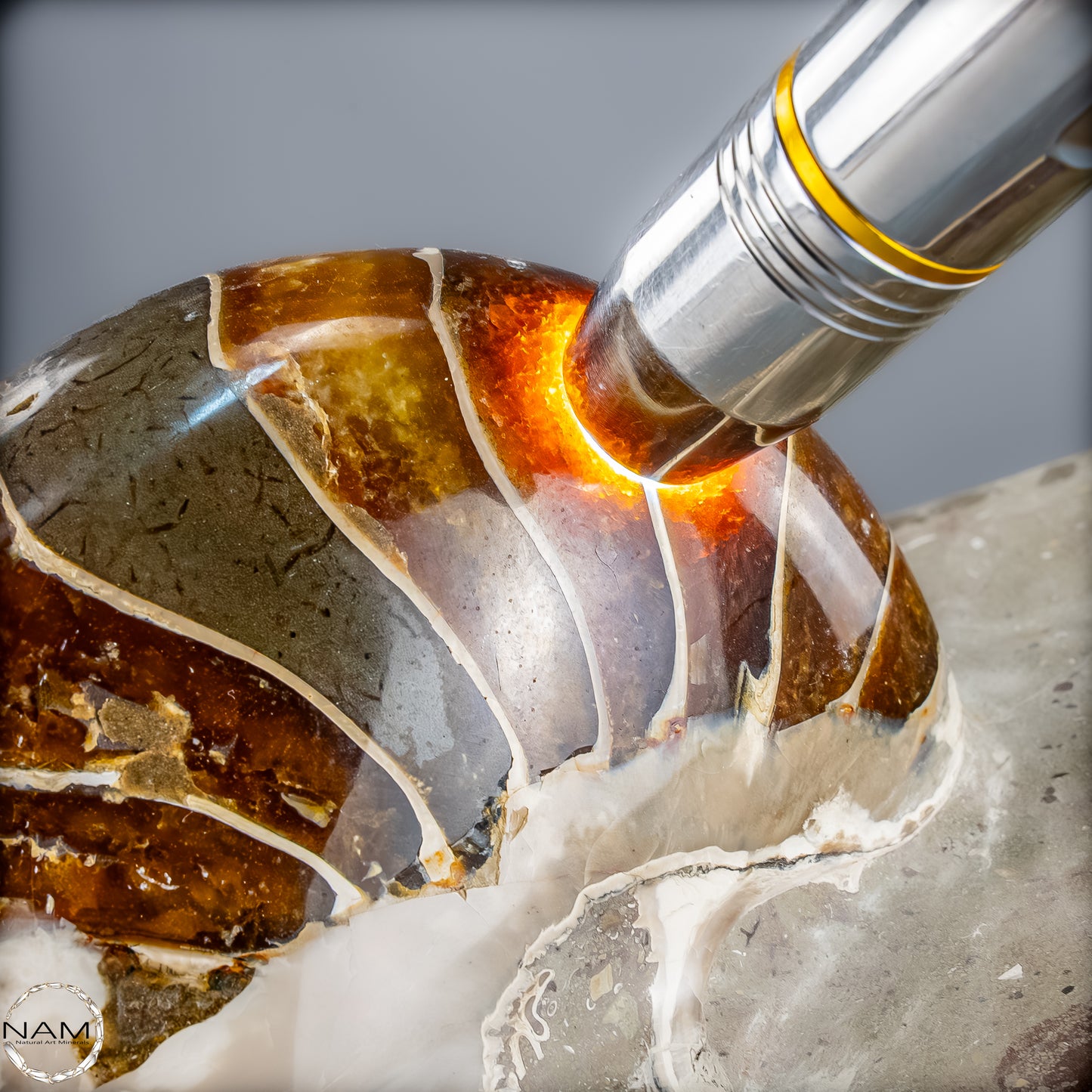 Natürlicher Bunter & Schillernder Nautilus Fossil - 4228,16g