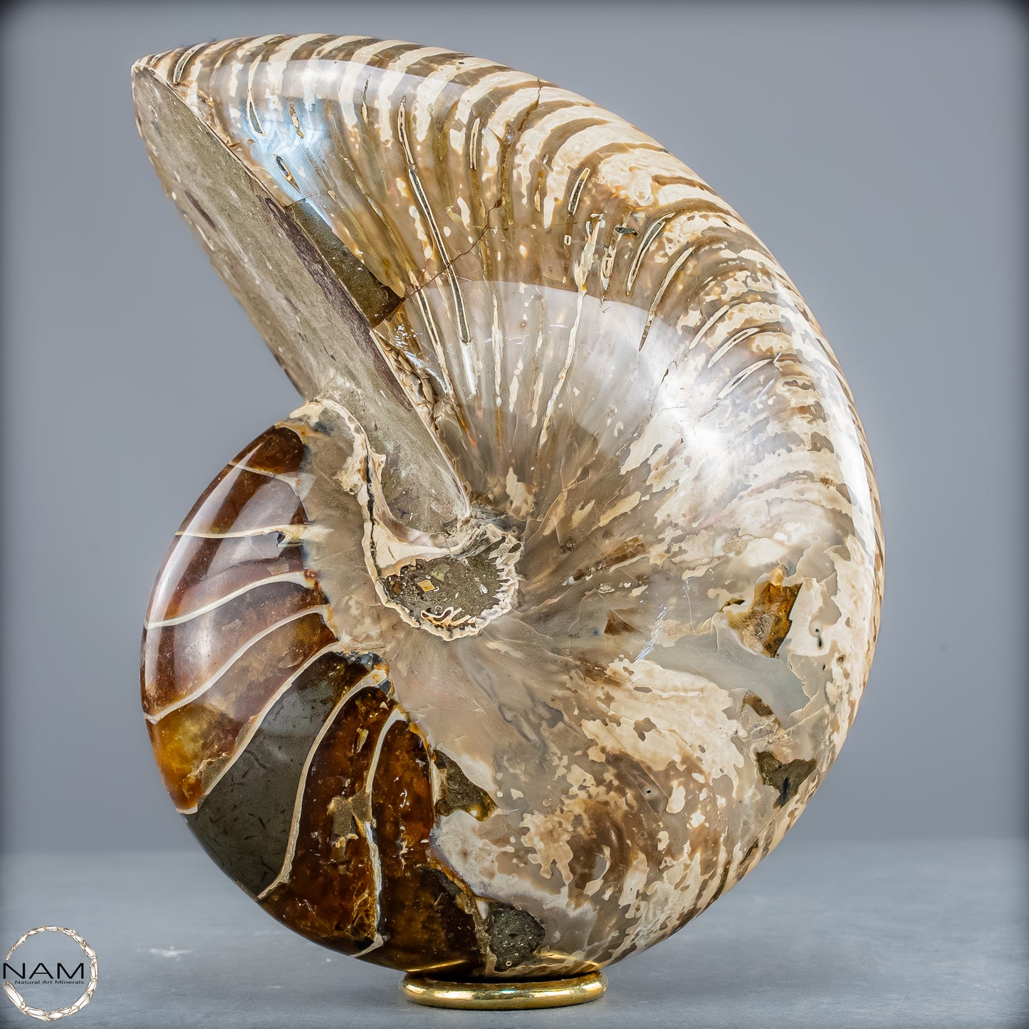 Natürlicher Bunter & Schillernder Nautilus Fossil - 4228,16g
