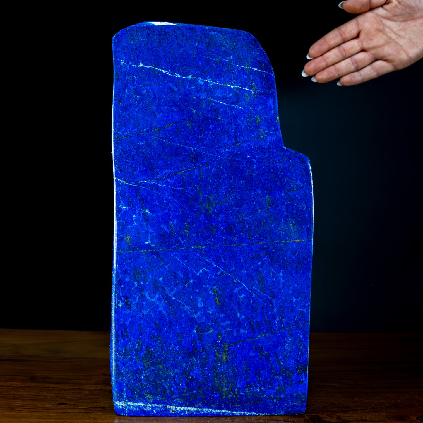 Natürliche Königsblaue Lapislazuli Freiform - 3394,87g