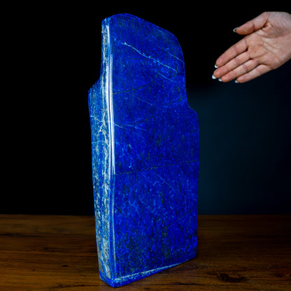 Natürliche Königsblaue Lapislazuli Freiform - 3394,87g