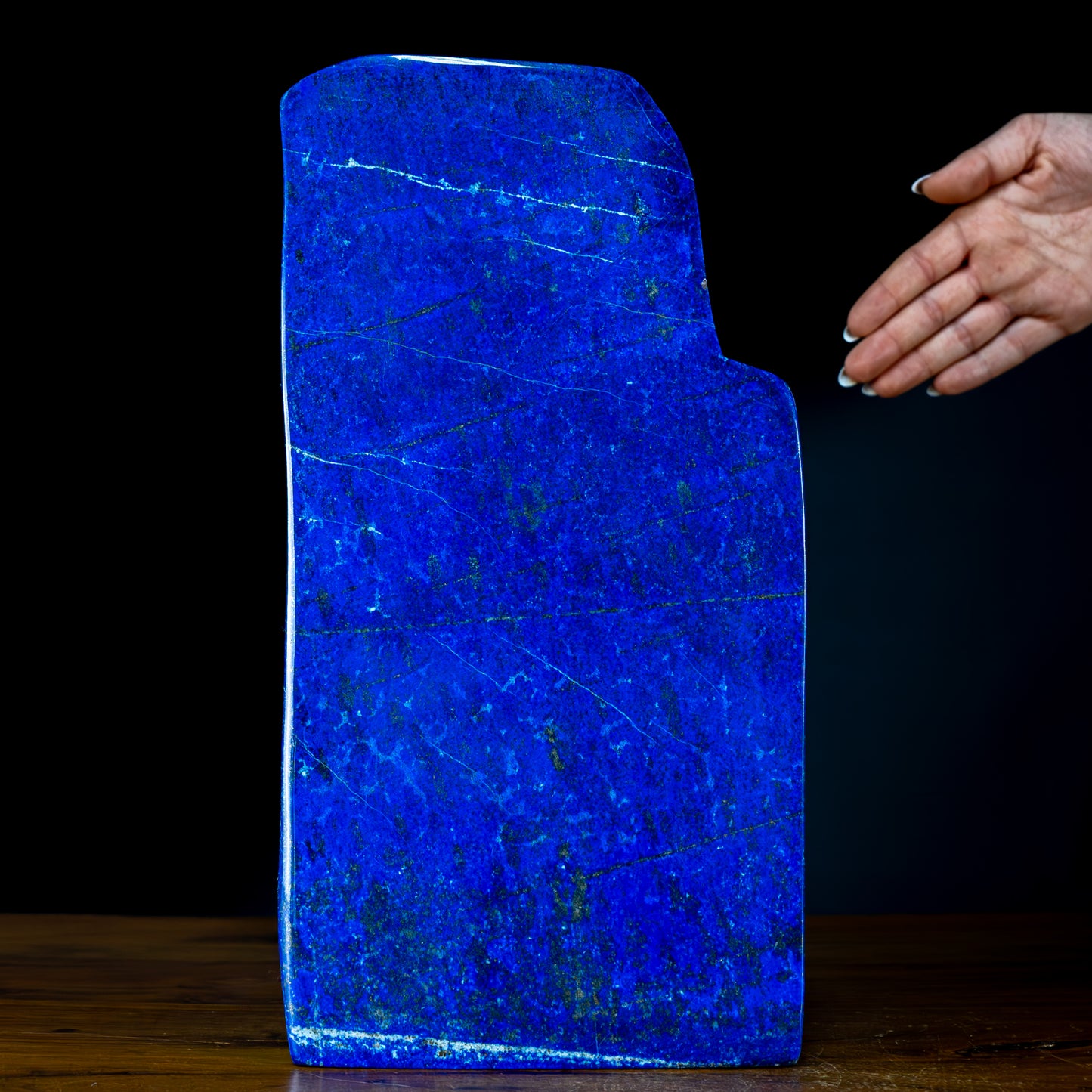 Natürliche Königsblaue Lapislazuli Freiform - 3394,87g