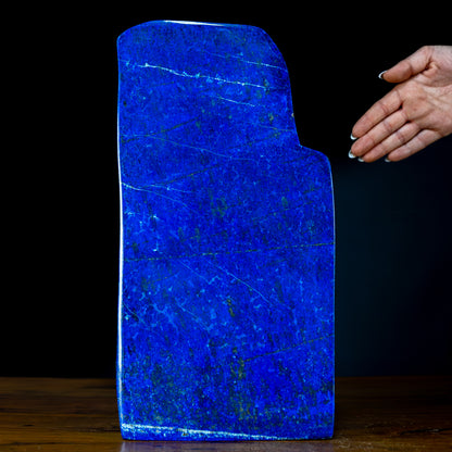 Natürliche Königsblaue Lapislazuli Freiform - 3394,87g