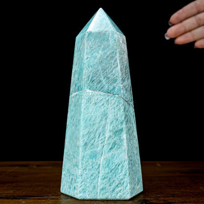 Natürlicher Funkelnder Amazonit Kristall-Obelisk - 971,56g