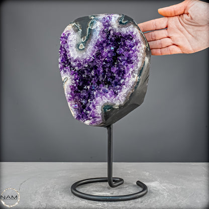 Amethyst Druse auf elegantem Metallständer - 5741,36g