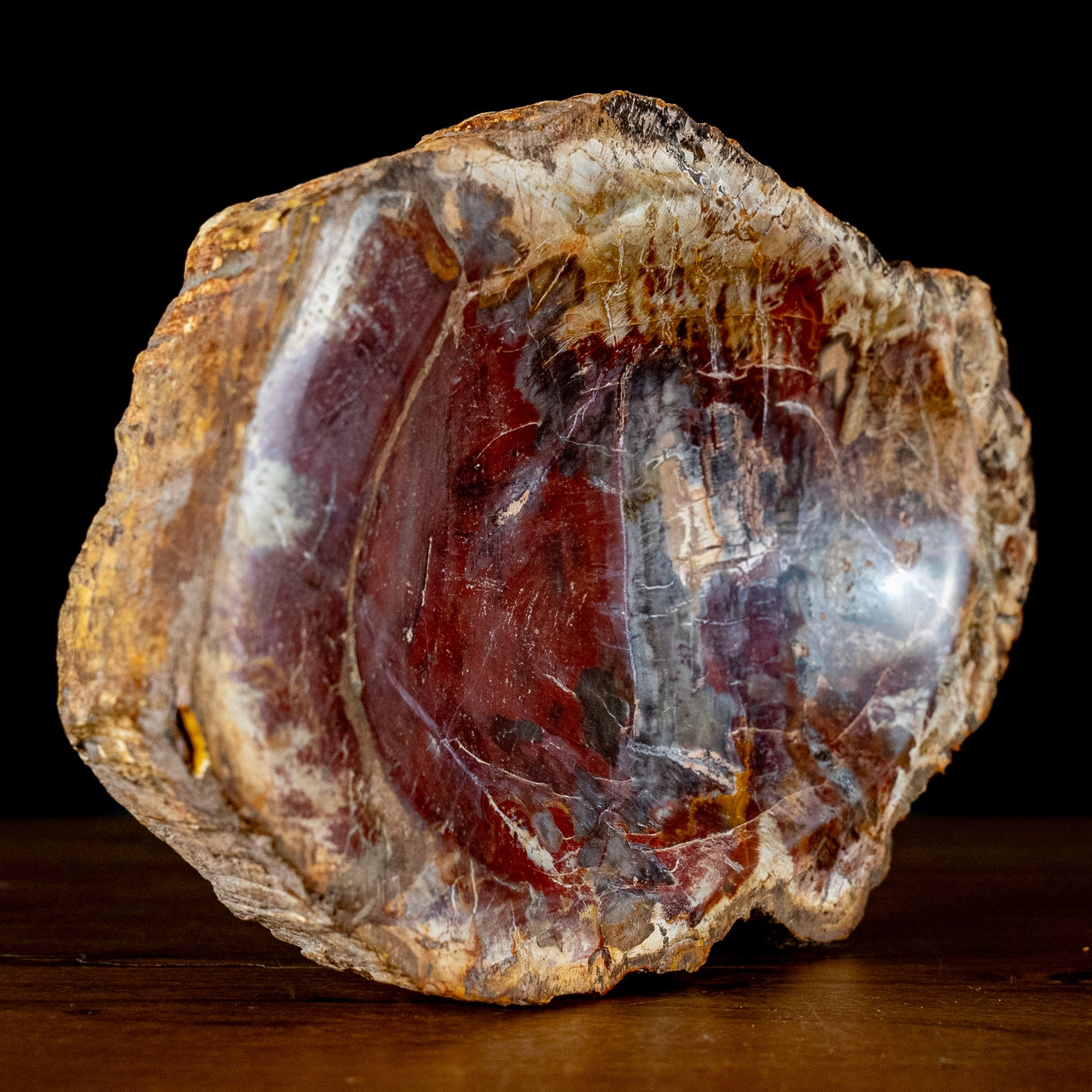 Natürliche Versteinerte Holz Schale - 2118,12g