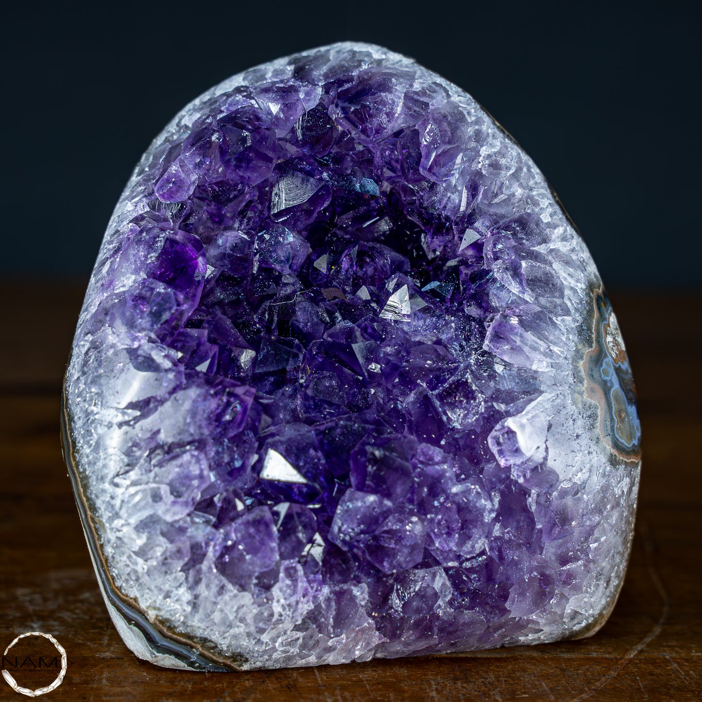 Natürliche Amethyst-Kristall Druse, Spitzenqualität - 896,32g