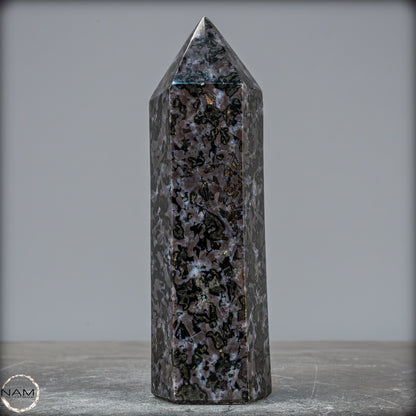 Natürlicher Merlinit (Gabbro) Kristall Obelisk - 674,22g