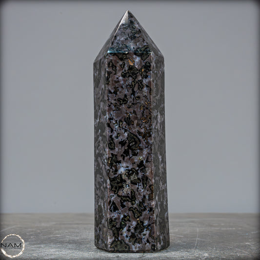 Natürlicher Merlinit (Gabbro) Kristall Obelisk - 674,22g