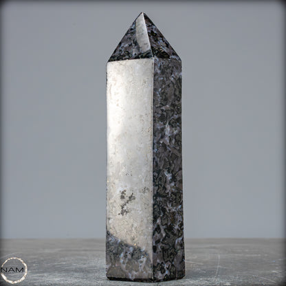 Natürlicher Merlinit (Gabbro) Kristall Obelisk - 674,22g