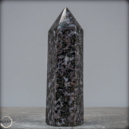 Natürlicher Merlinit (Gabbro) Kristall Obelisk - 674,22g