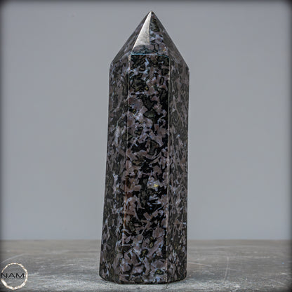 Natürlicher Merlinit (Gabbro) Kristall Obelisk - 674,22g