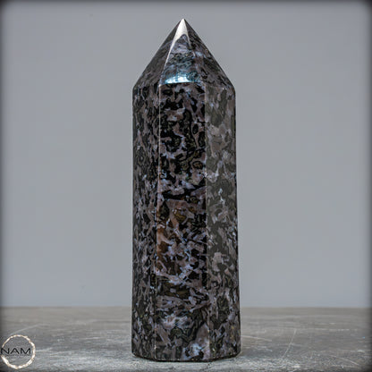 Natürlicher Merlinit (Gabbro) Kristall Obelisk - 674,22g