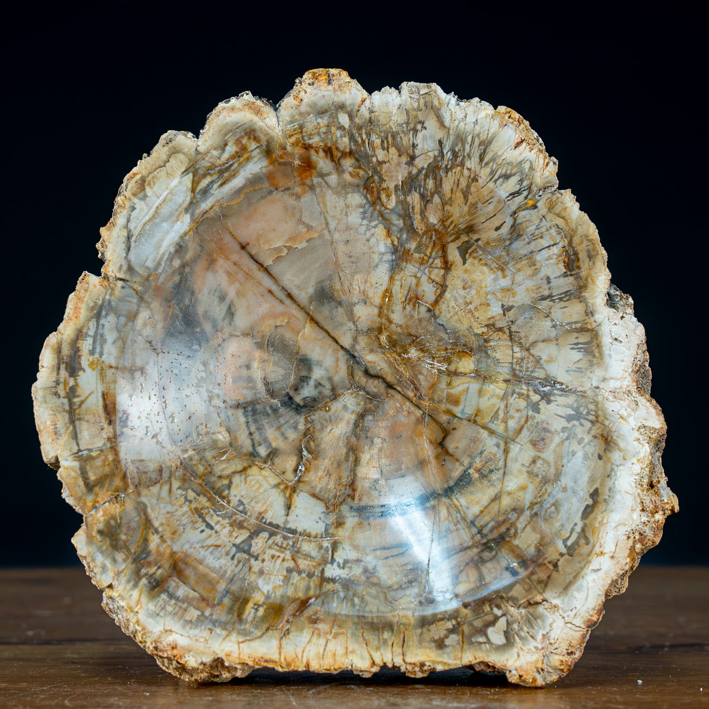 Natürliche Versteinerte Holz Kristall-Schale - 1547,53g