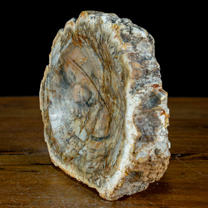 Natürliche Versteinerte Holz Kristall-Schale - 1547,53g