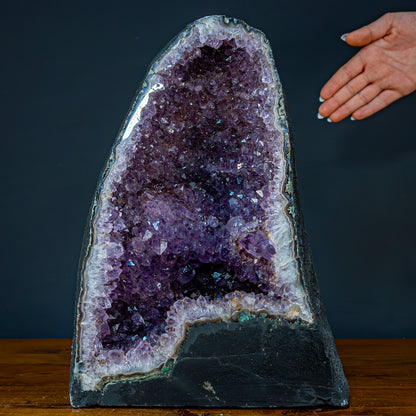 Natürliche Intensive Amethyst Druse - 11476,81g