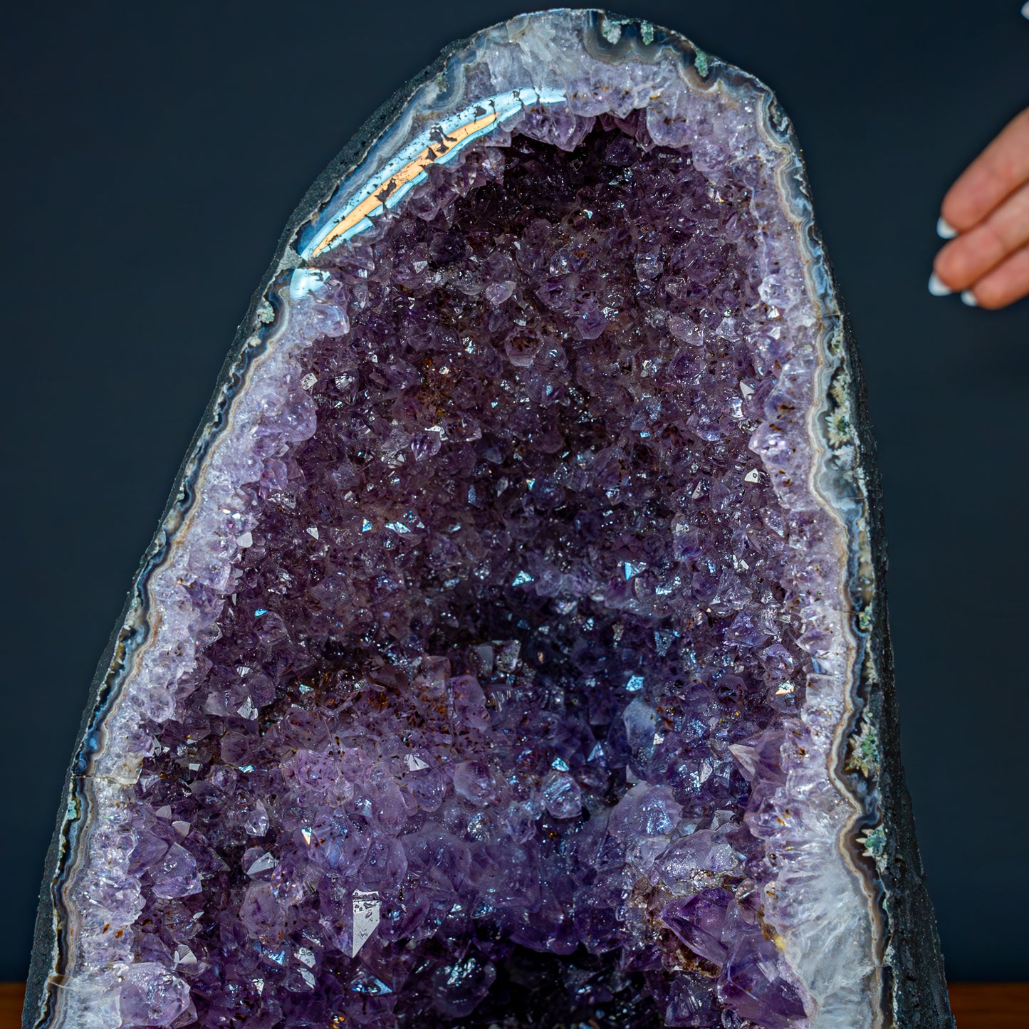 Natürliche Intensive Amethyst Druse - 11476,81g