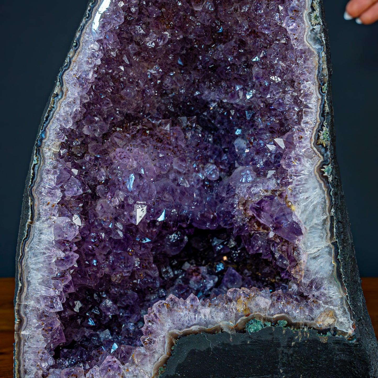 Natürliche Intensive Amethyst Druse - 11476,81g