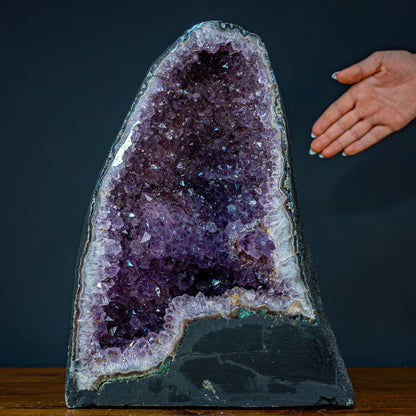 Natürliche Intensive Amethyst Druse - 11476,81g