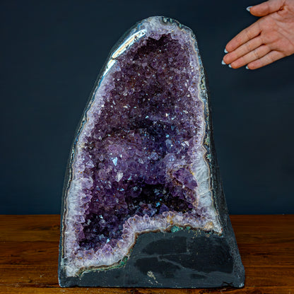 Natürliche Intensive Amethyst Druse - 11476,81g