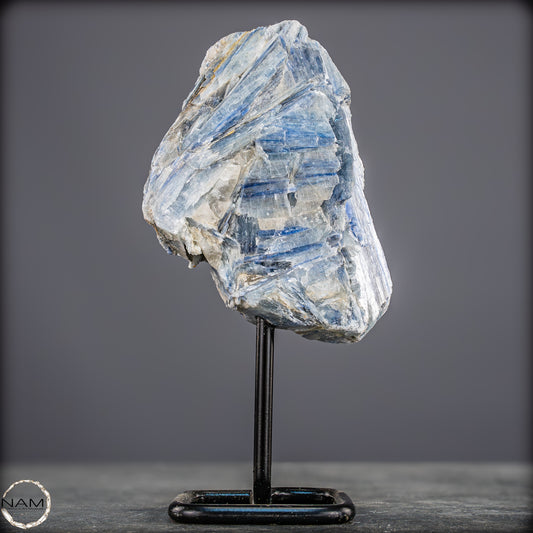 Natürlicher Kyanit-Kristall Cluster auf Ständer aus Brasilien - 558,85g