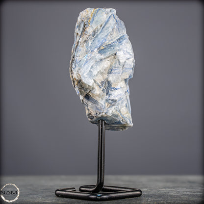 Natürlicher Kyanit-Kristall Cluster auf Ständer aus Brasilien - 558,85g