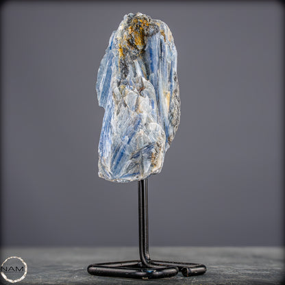 Natürlicher Kyanit-Kristall Cluster auf Ständer aus Brasilien - 558,85g
