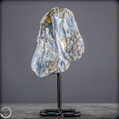 Natürlicher Kyanit-Kristall Cluster auf Ständer aus Brasilien - 558,85g