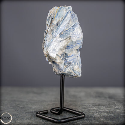 Natürlicher Kyanit-Kristall Cluster auf Ständer aus Brasilien - 558,85g