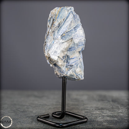 Natürlicher Kyanit-Kristall Cluster auf Ständer aus Brasilien - 558,85g
